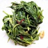 Cicoria Ripassata